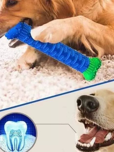 Miniatura 2 de Llama Diente Para Mascota